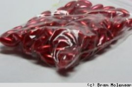 Acryl rijsteparels Rood 6*3mm - 100st - #17824