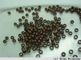 Bronzen knijpkralen 4mm - 100stuks - #2626