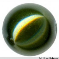 Glaskraal donkergroen 4mm - 200stuks (81022801) - #17031
