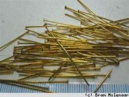 Goudkleur raw nietstiften 2cm - 100stuks - #4413