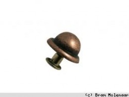 JolieStyle Bronskleur inslag dopje 11mm - #6243
