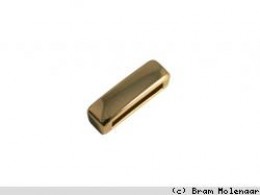 JolieStyle Goudkleur LS 18*5mm Glad - #6162
