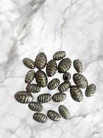 Metallook staafje per 20stuks 12x5mm - #492906