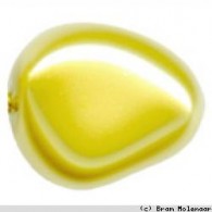 parel glas goud - 20 stuks (80882801) - #10814