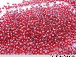 Rocailles 2mm Silverlined DK rood  -100Gram - #5987